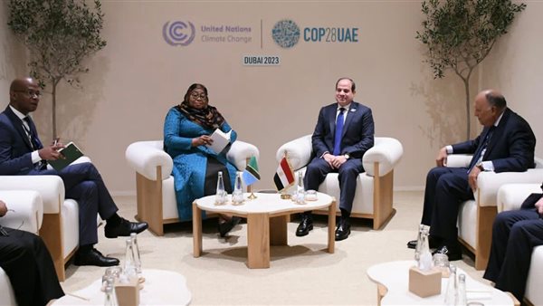 السيسي يبحث مع رئيسة تنزانيا سبل تعظيم التعاون بين دول حوض النيل