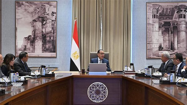 رئيس الوزراء يستعرض مشروعا لإنتاج الأمونيا الخضراء باستثمارات مليار دولار