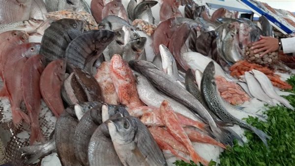 أسعار الأسماك اليوم الثلاثاء 26-12-2023