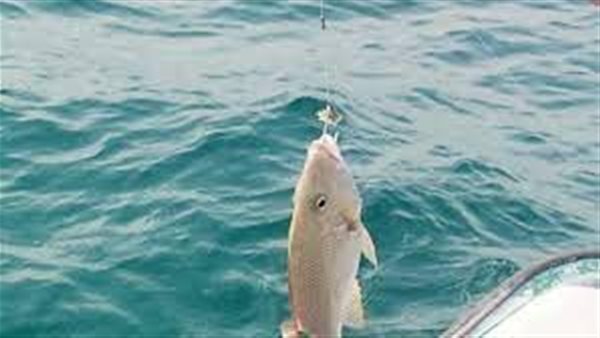 الاتحاد المصري لرياضة الأسماك ردًا على 