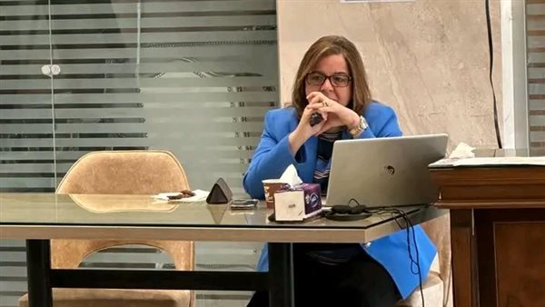 مي عبد الحميد: الدعم المقدم للمستفيدين من مشروع الإسكان الاجتماعي يقدر بـ50%