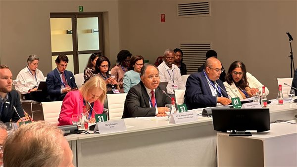 وزير المالية: الاستثمار الأجنبي المباشر بأفريقيا تراجع ٦٦٪؜ في ٢٠٢٢ 