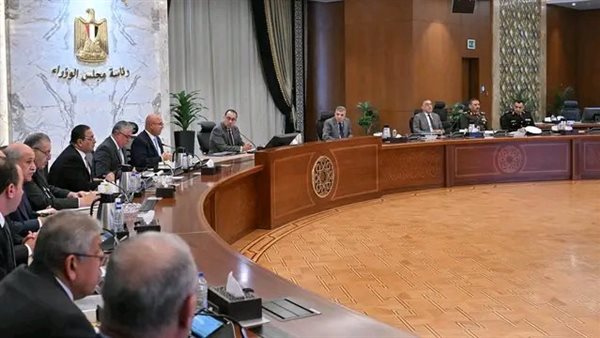 «الأعلى للموانئ» يوافق على توحيد الإجراءات الجمركية بتجارة الترانزيت