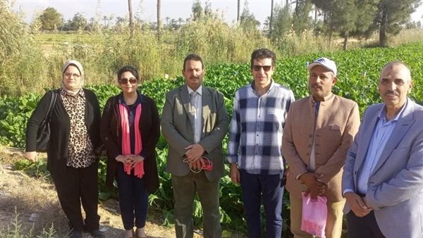رئيس الإدارة المركزية للارشاد يتابع المحاصيل الشتوية والقمح والاسمدة بالاسكندرية