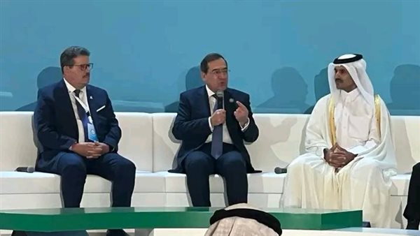  الملا يدعو إلى التوازن بين التحول الطاقي والتنمية المستدامة