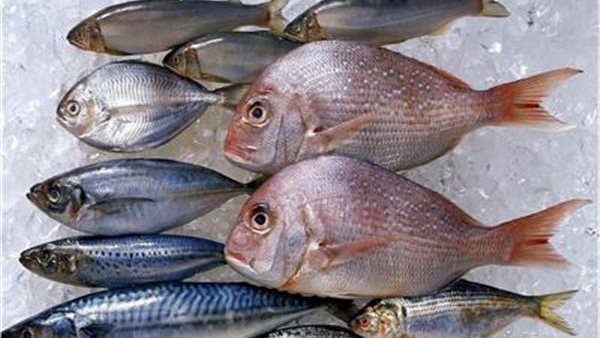 أسعار الأسماك اليوم السبت 16-12-2023