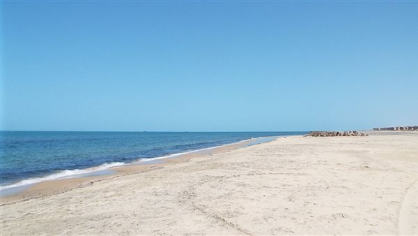 إيقاف التعامل على أسهم 