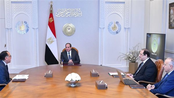 السيسي يستعرض مستجدات أنشطة التعاون في مجال الري مع دول حوض النيل