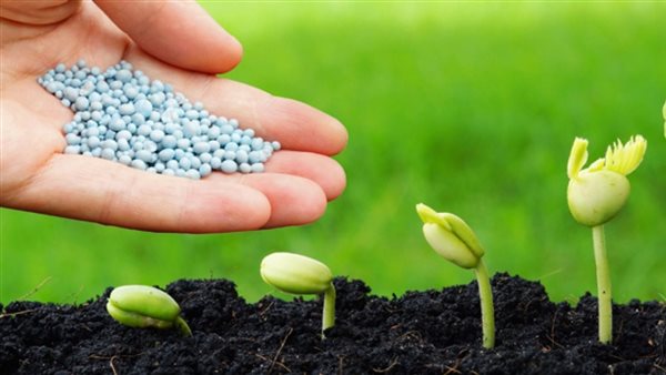 «موبكو» يقفز 14.64% ويتصدر الأسهم الأكثر ارتفاعًا