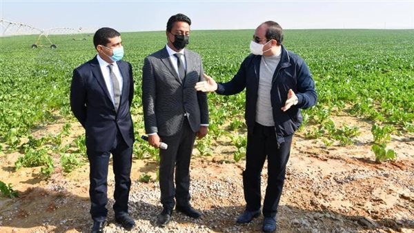 الزراعة تشهد نهضة غير مسبوقة في عهد الرئيس السيسي لتحقيق الأمن الغذائي