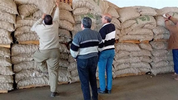 الزراعة تكثف حملات الرقابة والتفتيش على محطات ومنافذ بيع تقاوى البطاطس