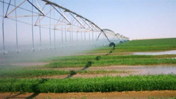 إعادة التعامل على أسهم 