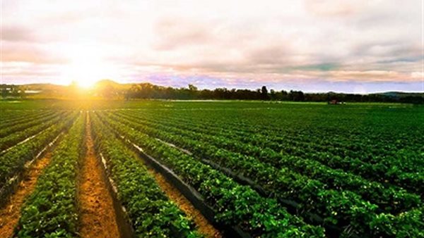 إعادة التعامل على أسهم 