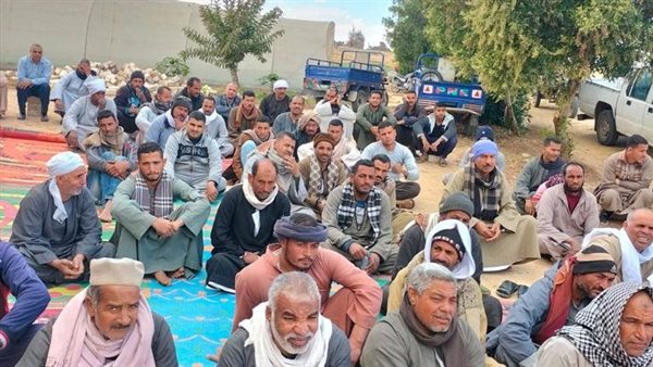 الزراعة: القوافل الإرشادية العلمية للمحاصيل الاستراتيجية مع المزارعين في محافظات الصعيد 