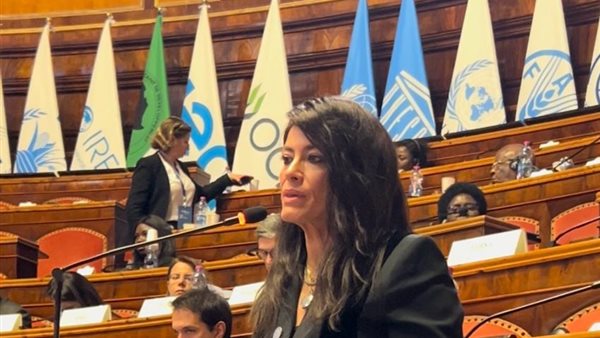  الدكتورة رانيا المشاط وزيرة التعاون الدولي تلقى كلمة مصر أمام القمة الإيطالية- الأفريقية