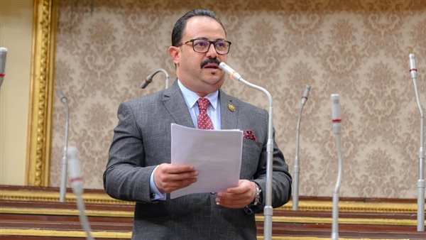 برلماني يطالب بتشديد الرقابة على شركات الشحن ومحاسبة المصدرين المصريين بالجنيه