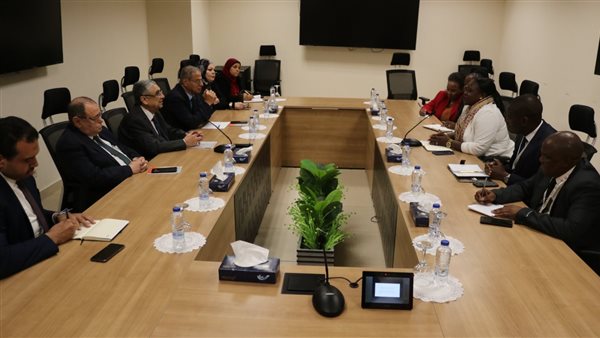 وزير الكهرباء يستقبل الوزير المفوض للطاقة بدولة تنزانيا لبحث سبل الدعم والتعاون الثنائى