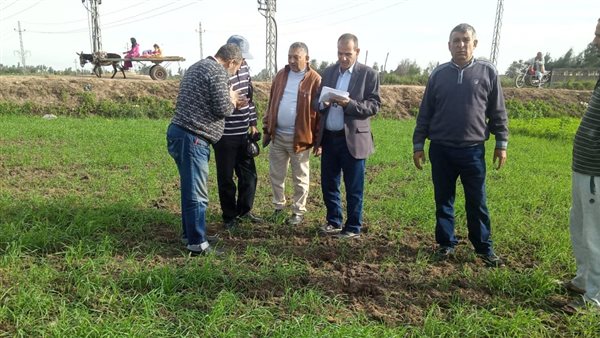 الزراعة: وقاية النباتات يكثف حملاته المرورية لتقديم الدعم الفني لحماية المحاصيل الشتوية