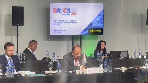 وزير المالية: مصر تفتح أبوابها للاستثمارات الأجنبية المباشرة بإرادة سياسية قوية فى دعم القطاع الخاص