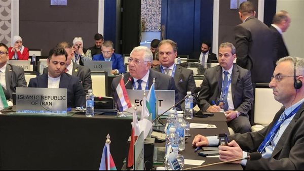 القصير: مصر قدمت أكثر من 80% من المساعدات الغذائية الى قطاع غزة من منطلق دورها القومى والوطنى