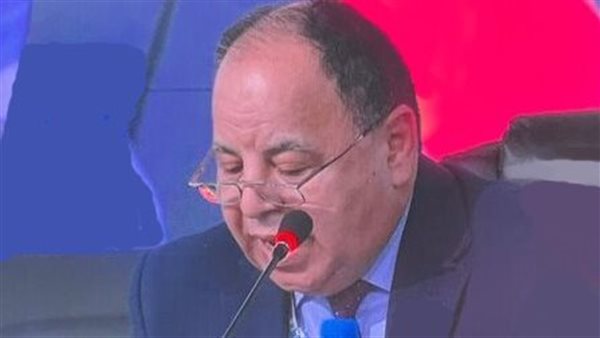 وزير المالية: السياسات المرنة للاقتصاد العالمى ضرورية لاحتواء الصدمات والحد من المخاطر