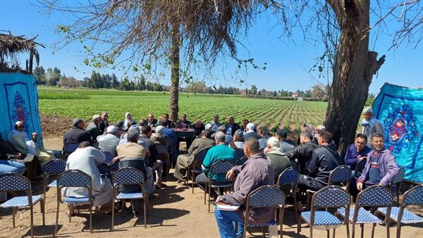 الزراعة: 823 باحثا وخبيرا فنيا ومرشدا زراعيا يشاركون في الفرق الإرشادية الريفية 