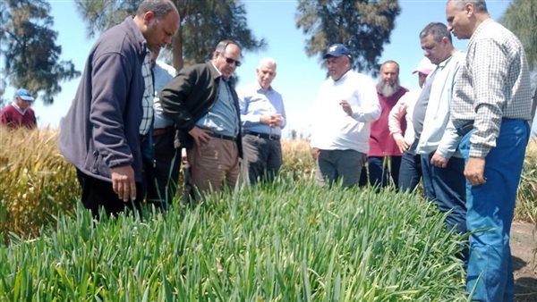 الزراعة: نتابع العمل في المحطات البحثية وتربية التقاوى والتلقيح الاصطناعي والحجر البيطرى ومعامل صحة الحيوان
