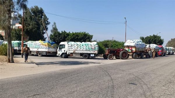 وزير التموين: اليوم فتح جميع نقاط استلام وتوريد القمح المحلي المنتج هذا العام بالمحافظات