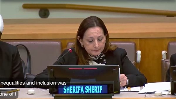 المدير التنفيذي للمعهد القومي للحوكمة والتنمية المستدامة تشارك في الاجتماعات السنوية للجنة بنيويورك