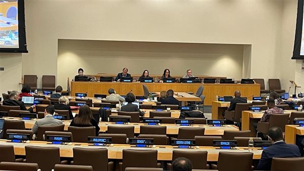 المدير التنفيذي للمعهد القومي للحوكمة تواصل مشاركاتها في الاجتماعات السنوية للجنة بنيويورك