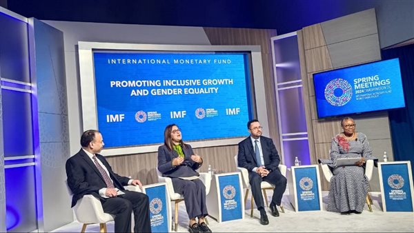 وزيرة التخطيط تشارك في جلسة بعنوان 