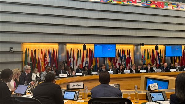  «المشاط» تُطالب البنك الدولي للقيام بدوره كبنك للمعرفة وتكرار التجارب الناجحة في الدول الأعضاء 