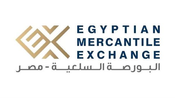 حسام الجراحي نائبًا لرئيس مجلس إدارة الهيئة العامة للسلع التموينية لمدة عام