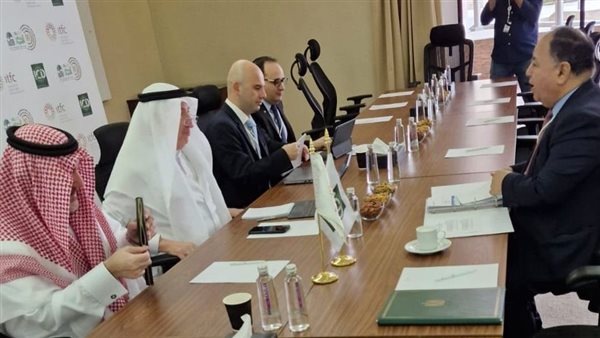 وزير المالية: تحفيز الشراكات التنموية بين القطاع الخاص المحلى والأجنبي لدفع النمو الاقتصادى