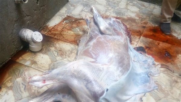 حملات تموينية مكثفة لتشديد الرقابة على الأسواق بمحافظة أسيوط 