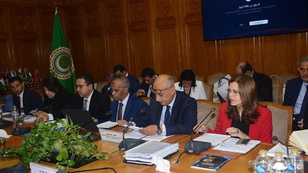 وزارة التخطيط تشارك في مناقشة تقرير مصر الأول أمام لجنة الميثاق العربي لحقوق الإنسان