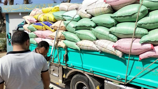  الزراعي المصري يبدأ استلام محصول القمح من المزارعين والموردين في 190 موقع