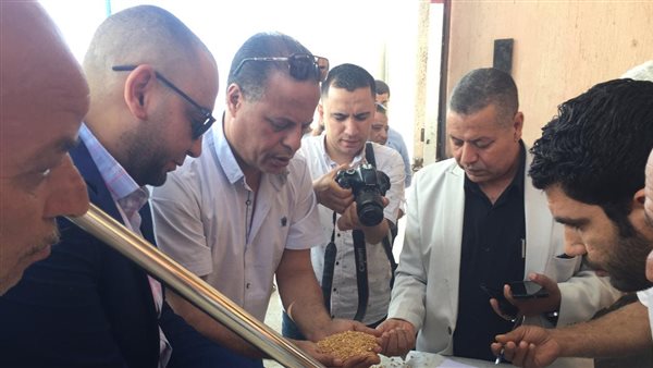 التموين : توريد 1.8 مليون طن قمح محلي..ومواقع الاستلام مستمرة في استقبال المحصول 