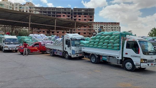 التموين: مواقع إستلام القمح تفتح أبوابها أمام المزارعين خلال إجازة شم النسيم