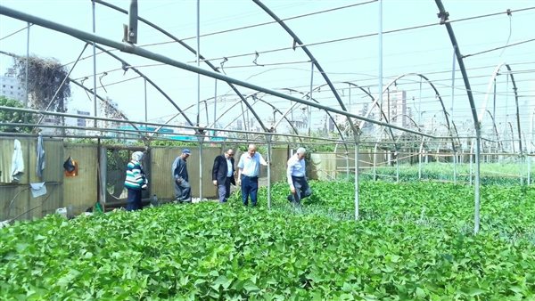 رئيس البحوث الزراعية يتابع رفع كفاءة الأصول في موقع الصوب الزراعية بمحطة بحوث بهيتم 