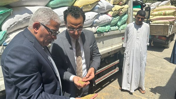 تموين الشرقية: استقبلنا 500 ألف طن ونستهدف 600 الف طن
