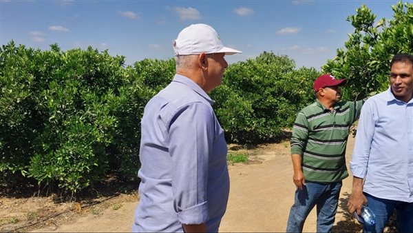 الزراعة: الأنشطة الإرشادية والخدمية والبحثية لمعهد أمراض النباتات خلال شهر ابريل 2024