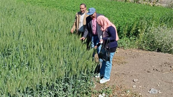 الزراعة تستعرض جهود المركزية لمكافحة الآفات في وقاية المحاصيل من دودة الحشد الخريفية