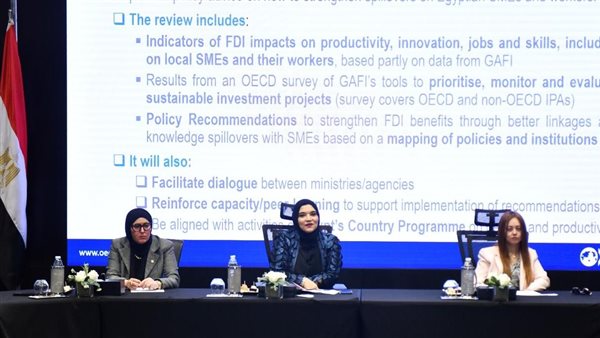 التخطيط تشارك بالاجتماع الثاني لمجموعة العمل المعنية بمشروع خصائص الاستثمار الأجنبي المباشر 