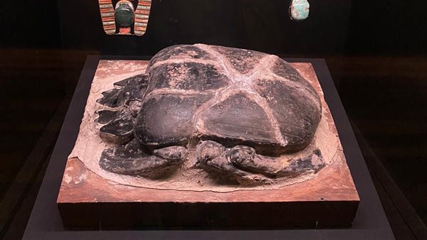 انتهاء فترة معرض رمسيس وذهب الفراعنة بمتحف سيدني باستراليا