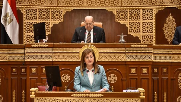 وزيرة التخطيط: ارتفاع حجم الاستثمارات الكليّة الـمُستهدفة بالخطة لتتجاوز 2 تريليون جنيه 