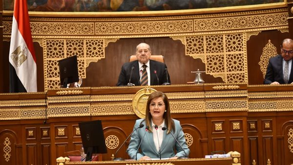 وزيرة التخطيط تستعرض مستهدفات مجال الخدمات الصحية والزراعة والصناعة والاتصالات والنقل والبترول