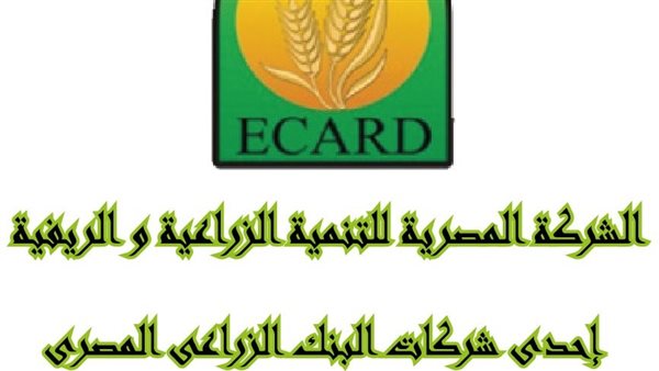 عمرو توفيق رئيسًا غير تنفيذيا للشركة المصرية للتنمية الزراعية والريفية
