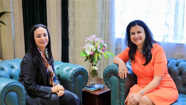 وزيرة التضامن تبحث مع نائب رئيس بنك التنمية الصناعية دعم المشروعات الصغيرة