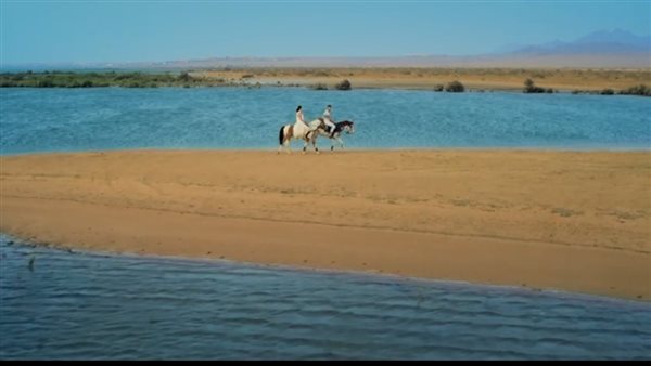 إطلاق حملة ترويجية للمقصد السياحي المصري بالسوق العربي خلال موسم الصيف 